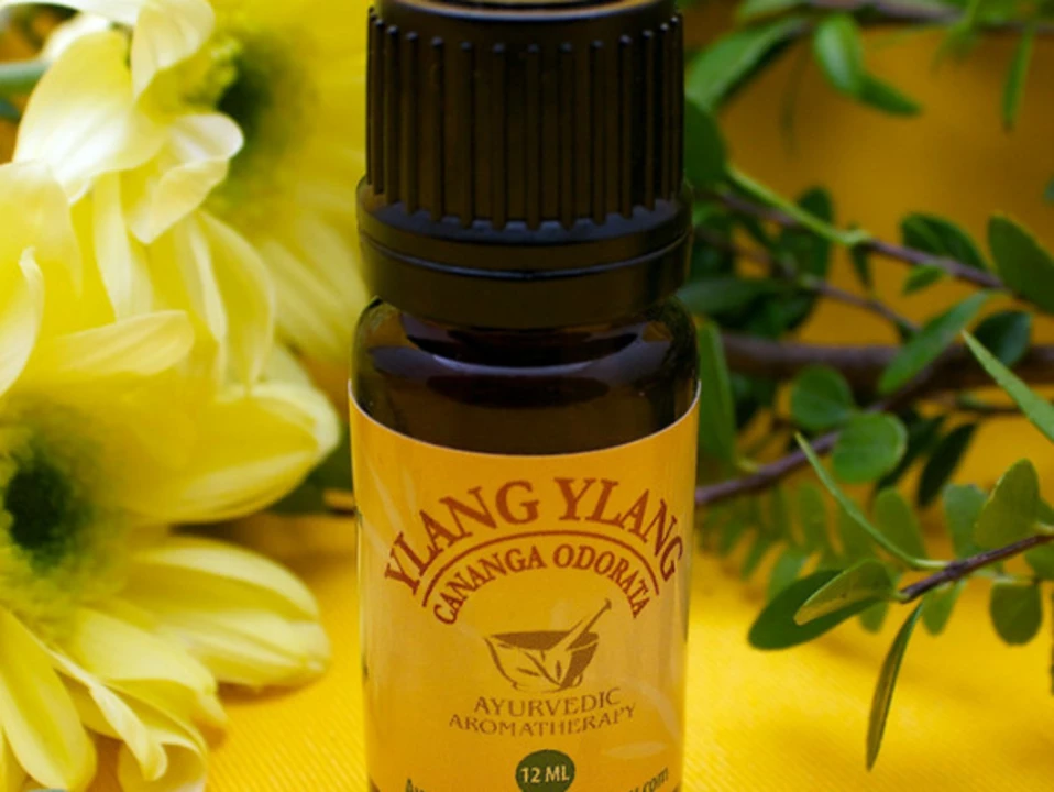 Ylang Ylang Oil: The Dietary Supplement That's Making Waves in Holistic Health
