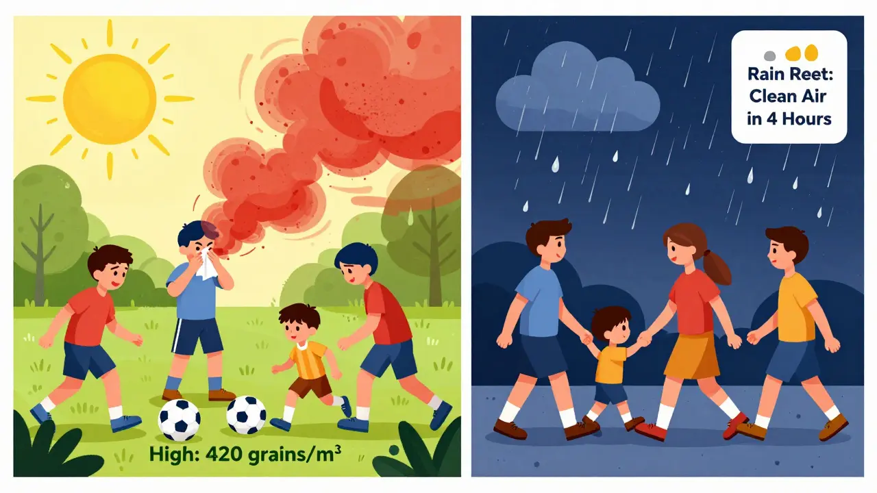 Split scene: a family sneezing during midday soccer game vs. walking peacefully after evening rain with clean air forecast.